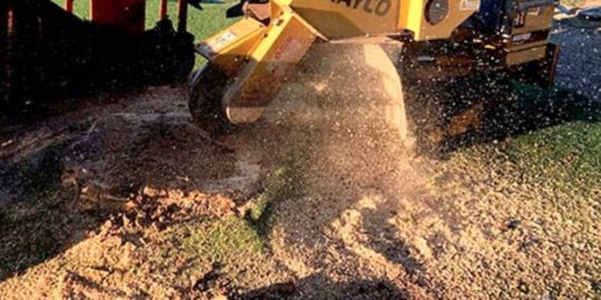 Stump Grinding a grade tree services 3