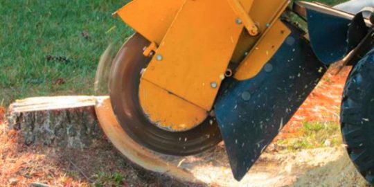 Stump Grinding a grade tree services 4