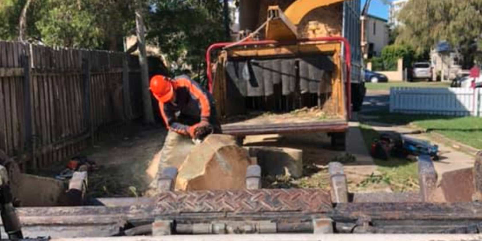  Tree Lopping & Removal a grade tree service north brisbane