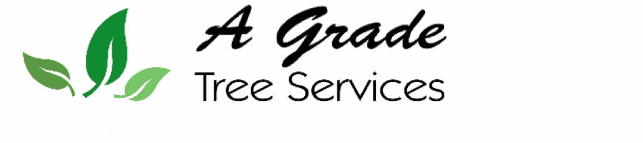 Picture of A Grade Tree Services