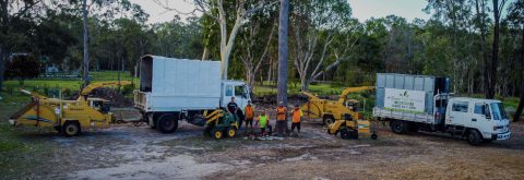 Tree Lopping, Removal & Equipment Hire From Ascot to Caboolture